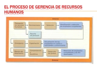 EL PROCESO DE GERENCIA DE RECURSOS
HUMANOS
 