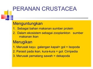 PERANAN CRUSTACEA
Menguntungkan
1. Sebagai bahan makanan sumber protein
2. Dalam ekosistem sebagai zooplankton sumber
makanan ikan
Merugikan
1. Merusak kayu galangan kapal= gol = Isopoda
2. Parasit pada ikan, kura-kura = gol. Cirripedia
3. Merusak pematang sawah = dekapoda
 