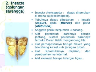 2. Insecta2. Insecta
(golongan(golongan
serangga)serangga) • Insecta /heksapoda : dapat ditemukan
di mana saja(kosmopolit).
• Tubuhnya dapat dibedakan : kepala
(caput), dada (thorax) dan perut
(abdomen).
• Anggota gerak berjumlah 3 pasang.
• Alat peredaran darahnya berupa
jantung, sistem peredaran darahnya
terbuka.Darah tidak mengandung Hb.
• alat pernapasannya berupa trakea yang
bercabang ke seluruh jaringan tubuh.
• alat reproduksinya terpisah, dan
pembuahannya internal.
• Alat ekskresi berupa kelenjar hijau.
 