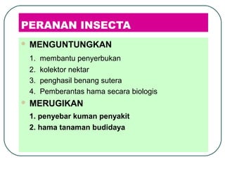 PERANAN INSECTA
 MENGUNTUNGKAN
1. membantu penyerbukan
2. kolektor nektar
3. penghasil benang sutera
4. Pemberantas hama secara biologis
 MERUGIKAN
1. penyebar kuman penyakit
2. hama tanaman budidaya
 