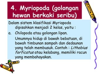 4. Myriopoda (golongan
hewan berkaki seribu)
Dalam sistem klasifikasi Myriapoda
dipisahkan menjadi 2 kelas, yaitu :
a. Chilopoda atau golongan lipan.
Umumnya hidup di bawah bebatuan, di
bawah timbunan sampah dan dedaunan
yang telah membusuk. Contoh : Lithobius
forficatus atau kelabang, memiliki racun
yang membahayakan.
 