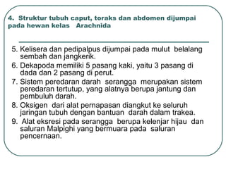 4. Struktur tubuh caput, toraks dan abdomen dijumpai
pada hewan kelas Arachnida
5. Kelisera dan pedipalpus dijumpai pada mulut belalang
sembah dan jangkerik.
6. Dekapoda memiliki 5 pasang kaki, yaitu 3 pasang di
dada dan 2 pasang di perut.
7. Sistem peredaran darah serangga merupakan sistem
peredaran tertutup, yang alatnya berupa jantung dan
pembuluh darah.
8. Oksigen dari alat pernapasan diangkut ke seluruh
jaringan tubuh dengan bantuan darah dalam trakea.
9. Alat eksresi pada serangga berupa kelenjar hijau dan
saluran Malpighi yang bermuara pada saluran
pencernaan.
 