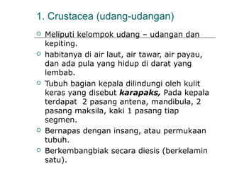 1. Crustacea (udang-udangan)
 Meliputi kelompok udang – udangan dan
kepiting.
 habitanya di air laut, air tawar, air payau,
dan ada pula yang hidup di darat yang
lembab.
 Tubuh bagian kepala dilindungi oleh kulit
keras yang disebut karapaks, Pada kepala
terdapat 2 pasang antena, mandibula, 2
pasang maksila, kaki 1 pasang tiap
segmen.
 Bernapas dengan insang, atau permukaan
tubuh.
 Berkembangbiak secara diesis (berkelamin
satu).
 