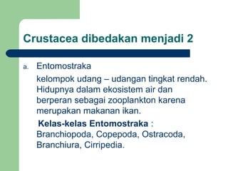 Crustacea dibedakan menjadi 2
a. Entomostraka
kelompok udang – udangan tingkat rendah.
Hidupnya dalam ekosistem air dan
berperan sebagai zooplankton karena
merupakan makanan ikan.
Kelas-kelas Entomostraka :
Branchiopoda, Copepoda, Ostracoda,
Branchiura, Cirripedia.
 
