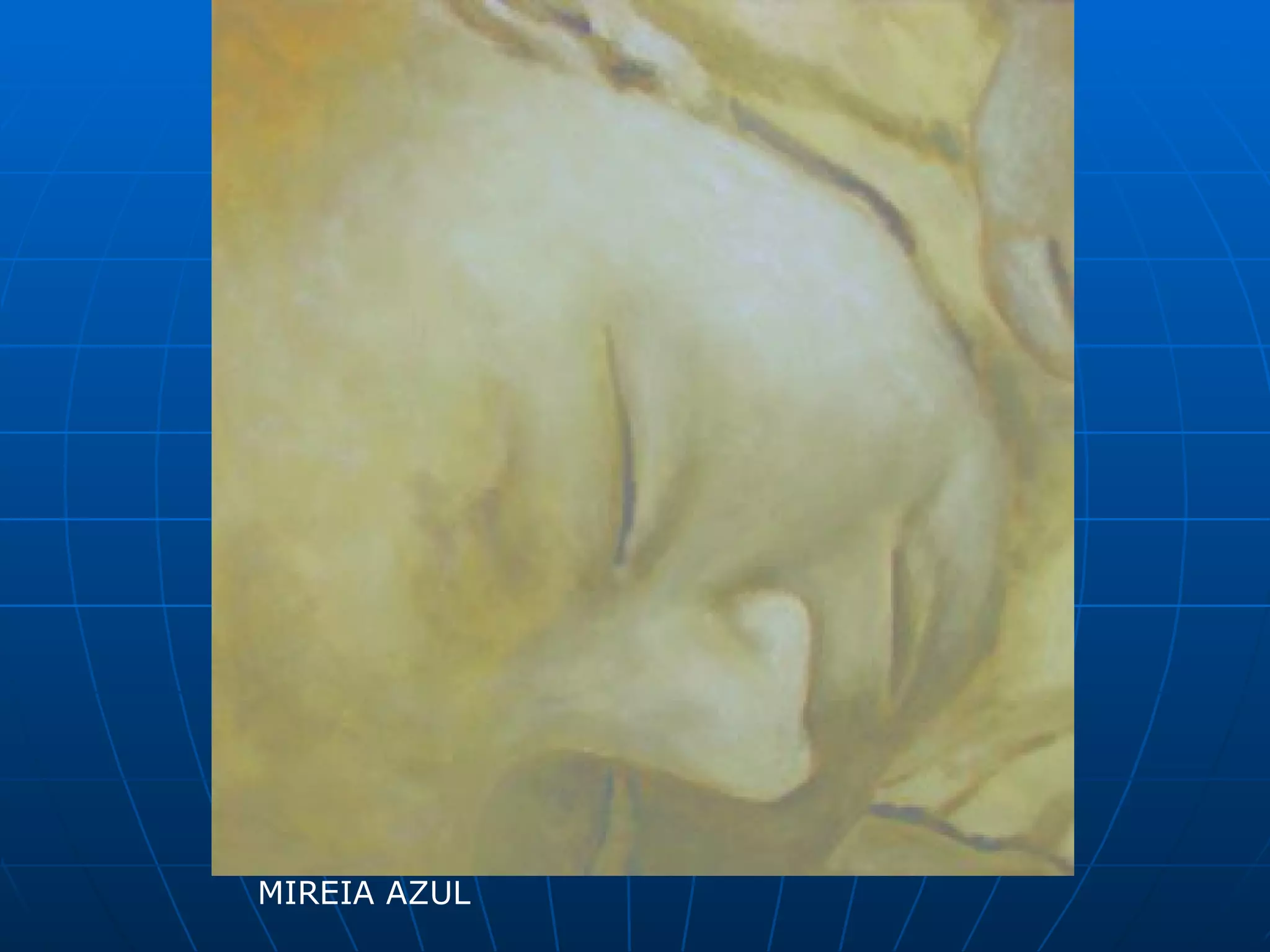 MIREIA AZUL
 