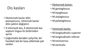 Dis kasları
• Ekstrensek kaslar dilin
pozisyonunu, intrensek kaslar
dilin şeklini değiştirir.
• 4 intrensek kas, 4 ekstrensek kas
septum lingua ile birbirinden
ayrılır.
• Çoğunlukla beraber çalışırlar, bir
hareketi tek bir kasa atfetmek çok
zordur.
• Ekstrensek kaslar;
• M.genioglossus
• M.hyoglossus
• M.styloglossus
• M.palatoglossus
• İntrensek kaslar;
• M.longitudinalis superior
• M.longitudinalis inferior
• M.transversus
• M.verticalis
 