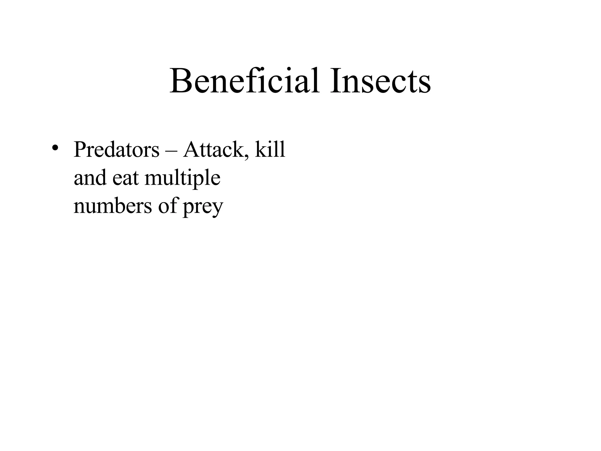 8 Beneficial Insects PPT