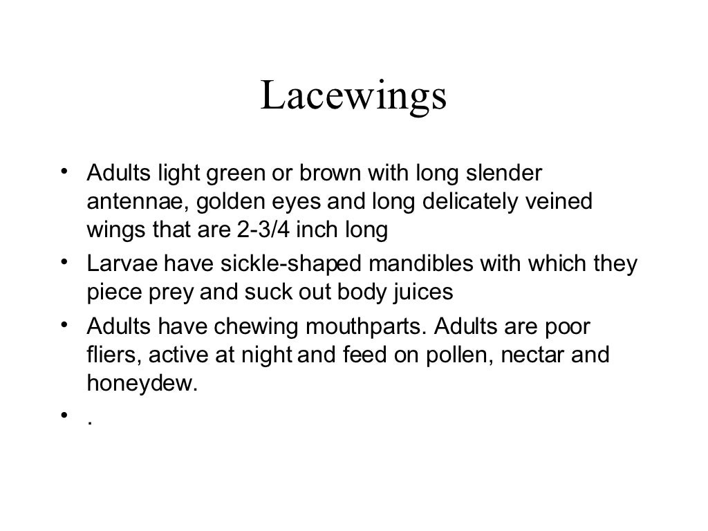 8 Beneficial Insects