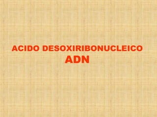 ACIDO DESOXIRIBONUCLEICO
ADN
 
