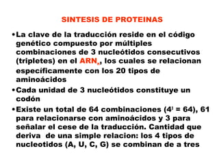 SINTESIS DE PROTEINAS
•La clave de la traducción reside en el código
genético compuesto por múltiples
combinaciones de 3 nucleótidos consecutivos
(tripletes) en el ARNm, los cuales se relacionan
específicamente con los 20 tipos de
aminoácidos
•Cada unidad de 3 nucleótidos constituye un
codón
•Existe un total de 64 combinaciones (43
= 64), 61
para relacionarse con aminoácidos y 3 para
señalar el cese de la traducción. Cantidad que
deriva de una simple relacion: los 4 tipos de
nucleotidos (A, U, C, G) se combinan de a tres
 