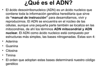 ¿Qué es el ADN?
• El ácido desoxirribonucleico (ADN) es un ácido nucleico que
contiene toda la información genética hereditaria que sirve
de “manual de instrucción” para desarrollarnos, vivir y
reproducirnos. El ADN se encuentra en el núcleo de las
células, aunque una pequeña parte también se localiza en las
mitocondrias, de ahí los términos ADN mitocondrial y ADN
nuclear. El ADN como ácido nucleico está compuesto por
estructuras más simples, las bases nitrogenadas. Estas son 4:
• Adenina
• Guanina
• Citosina
• Timina
• El orden que adoptan estas bases determinará nuestro código
genético
 