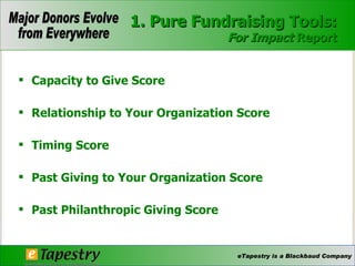 Capacity to Give Score Relationship to Your Organization Score Timing Score Past Giving to Your Organization Score Past Philanthropic Giving Score 1. Pure Fundraising Tools: For Impact  Report 