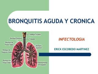 BRONQUITIS AGUDA Y CRONICA INFECTOLOGIA ERICK ESCOBEDO MARTINEZ 