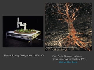 Ken Goldberg, Telegarden, 1995-2004   Char Davis, Osmose, realidade
                                      virtual inmersiva e interativa, 1995
                                              Web de Char Davis
 