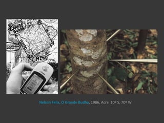 Nelson Felix, O Grande Budha, 1986, Acre 10º S, 70º W
 