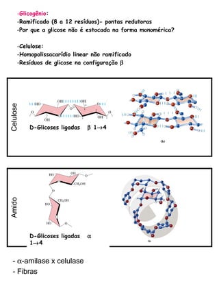 Glicogênio :  Ramificado (8 a 12 resíduos)- pontas redutoras Por que a glicose não é estocada na forma monomérica? Celulose: Homopolissacarídio linear não ramificado Resíduos de glicose na configuração   -   -amilase x celulase - Fibras  Amido D-Glicoses ligadas    1  4  Celulose D-Glicoses ligadas    1  4 