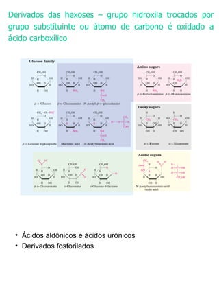 Derivados das hexoses – grupo hidroxila trocados por grupo substituinte ou átomo de carbono é oxidado a ácido carboxílico Ácidos aldônicos e ácidos urônicos Derivados fosforilados 