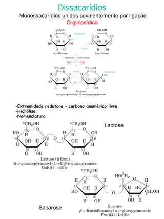 Dissacarídios -Monossacarídios unidos covalentemente por ligação  O- glicosídica Extremidade redutora – carbono anomérico livre Hidrólise Nomenclatura  Lactose Sacarose 