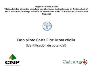 Proyecto TCP/RLA/3211
“Calidad de los alimentos vinculada con el origen y las tradiciones en América Latina”
FAO-Costa Rica / Consejo Nacional de Producción (CNP) / CADENAGRO-Universidad
Nacional
Caso piloto Costa Rica: Mora criolla
(Identificación de potencial)
 