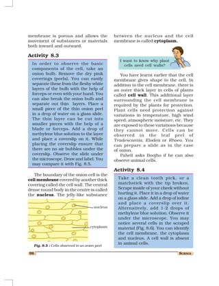 8 cell - structure and function | PDF