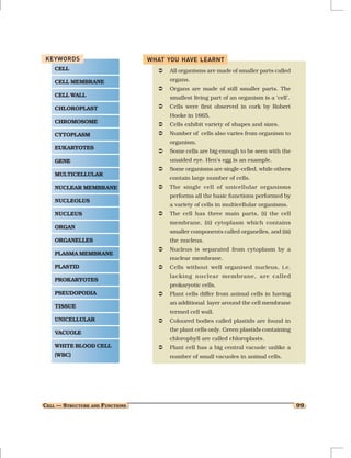 KEYWORDS                         WHAT YOU HAVE LEARNT
    CELL                              All organisms are made of smaller parts called
    CELL MEMBRANE                     organs.
                                      Organs are made of still smaller parts. The
    CELL WALL                         smallest living part of an organism is a ‘cell’.
    CHLOROPLAST                       Cells were first observed in cork by Robert
                                      Hooke in 1665.
    CHROMOSOME
                                      Cells exhibit variety of shapes and sizes.
    CYTOPLASM                         Number of cells also varies from organism to
                                      organism.
    EUKARYOTES
                                      Some cells are big enough to be seen with the
    GENE                              unaided eye. Hen’s egg is an example.
                                      Some organisms are single-celled, while others
    MULTICELLULAR
                                      contain large number of cells.
    NUCLEAR MEMBRANE                  The single cell of unicellular organisms
                                      performs all the basic functions performed by
    NUCLEOLUS
                                      a variety of cells in multicellular organisms.
    NUCLEUS                           The cell has three main parts, (i) the cell
                                      membrane, (ii) cytoplasm which contains
    ORGAN
                                      smaller components called organelles, and (iii)
    ORGANELLES                        the nucleus.
                                      Nucleus is separated from cytoplasm by a
    PLASMA MEMBRANE
                                      nuclear membrane.
    PLASTID                           Cells without well organised nucleus, i.e.
                                      lacking nuclear membrane, are called
    PROKARYOTES
                                      prokaryotic cells.
    PSEUDOPODIA                       Plant cells differ from animal cells in having
                                      an additional layer around the cell membrane
    TISSUE
                                      termed cell wall.
    UNICELLULAR                       Coloured bodies called plastids are found in
                                      the plant cells only. Green plastids containing
    VACUOLE
                                      chlorophyll are called chloroplasts.
    WHITE BLOOD CELL                  Plant cell has a big central vacuole unlike a
    (WBC)                             number of small vacuoles in animal cells.




CELL — STRUCTURE AND FUNCTIONS                                                           99
 