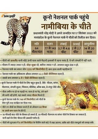 8 Cheetahs Brought to India