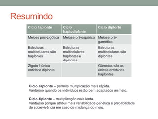 Resumindo
Ciclo haplonte Ciclo
haplodiplonte
Ciclo diplonte
Meiose pós-zigótica Meiose pré-espórica Meiose pré-
gamética
Estruturas
multicelulares são
haplontes
Estruturas
multicelulares
haplontes e
diplontes
Estruturas
multicelulares são
diplontes
Zigoto é única
entidade diplonte
Gâmetas são as
únicas entidades
haplontes
Ciclo haplonte – permite multiplicação mais rápida.
Vantajoso quando os indivíduos estão bem adaptados ao meio.
Ciclo diplonte – multiplicação mais lenta.
Vantajoso porque atribui mais variabilidade genética e probabilidade
de sobrevivência em caso de mudança do meio.
 