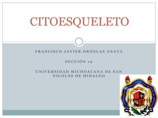 CITOESQUELETO

FRANCISCO JAVIER ORNELAS ANAYA

          SECCIÓN 19

UNIVERSIDAD MICHOACANA DE SAN
      NICOLÁS DE HIDALGO
 