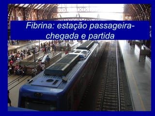 Fibrina: estação passageira-
      chegada e partida
 