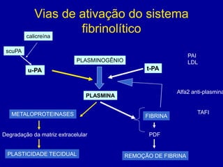 Vias de ativação do sistema
         calicreína
                     fibrinolítico
 scuPA
                                                                 PAI
                            PLASMINOGÊNIO                        LDL
         u-PA                                     t-PA


                                                            Alfa2 anti-plasmina
                                PLASMINA


   METALOPROTEINASES                                                TAFI
                                                  FIBRINA


Degradação da matriz extracelular                  PDF


  PLASTICIDADE TECIDUAL                     REMOÇÃO DE FIBRINA
 