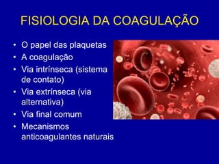 FISIOLOGIA DA COAGULAÇÃO
• O papel das plaquetas
• A coagulação
• Via intrínseca (sistema
  de contato)
• Via extrínseca (via
  alternativa)
• Via final comum
• Mecanismos
  anticoagulantes naturais
 