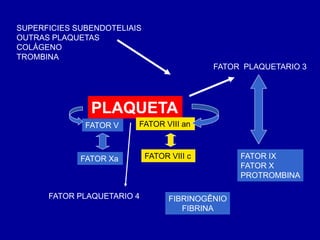 SUPERFICIES SUBENDOTELIAIS
OUTRAS PLAQUETAS
COLÁGENO
TROMBINA
                                            FATOR PLAQUETARIO 3




               PLAQUETA
              FATOR V    FATOR VIII an



             FATOR Xa        FATOR VIII c         FATOR IX
                                                  FATOR X
                                                  PROTROMBINA

      FATOR PLAQUETARIO 4          FIBRINOGÊNIO
                                      FIBRINA
 
