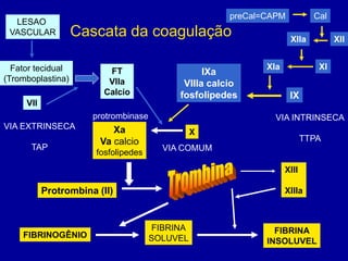 preCal=CAPM           Cal
  LESAO
 VASCULAR          Cascata da coagulação                            XIIa          XII


  Fator tecidual                                             XIa             XI
                         FT                      IXa
(Tromboplastina)         VIIa               VIIIa calcio
                        Calcio             fosfolipedes             IX
     VII
                      protrombinase                            VIA INTRINSECA
VIA EXTRINSECA             Xa                   X
                        Va calcio                                         TTPA
      TAP                               VIA COMUM
                       fosfolipedes

                                                                   XIII

           Protrombina (II)                                        XIIIa



                                      FIBRINA                  FIBRINA
    FIBRINOGÊNIO                      SOLUVEL                INSOLUVEL
 