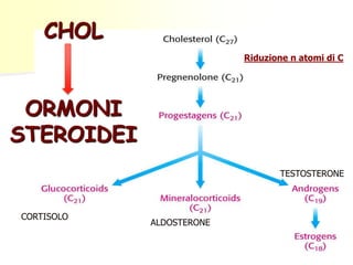 CORTISOLO
ALDOSTERONE
TESTOSTERONE
CHOL
ORMONI
STEROIDEI
Riduzione n atomi di C
 