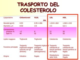 TRASPORTO DEL
COLESTEROLO
Lipoproteine Chilomicroni VLDL LDL HDL
IDL
Densità (g/ml) 0.93 0.95-1.006 1.019-1.063 1.063-1.210
Diametro mm 8-50 3-8 2-3 0,5-1
Composizione:
proteine %
lipidi %
<2
98
8
92
22
78
50
50
Lipide maggiore Trigliceridi Trigliceridi Colesterolo Colesterolo
Funzione principale
Trasporto
trigliceridi esogeni
(assunti con gli
alimenti)
Trasporto trigliceridi
endogeni
(sintetizzati
dall'organismo)
Trasporto
colesterolo ai
tessuti periferici
dal fegato
Trasporto
colesterolo dai
tessuti periferici al
fegato
Origine Intestino Fegato
Metabolismo
delle VLDL
Intestino
Fegato
 