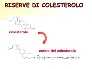 RISERVE DI COLESTEROLO
 