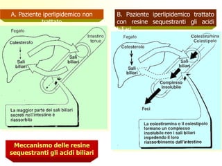 A. Paziente iperlipidemico non
trattato
B. Paziente iperlipidemico trattato
con resine sequestranti gli acidi
biliari
Meccanismo delle resine
sequestranti gli acidi biliari
 
