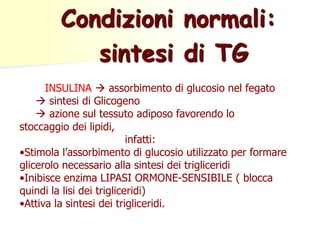 INSULINA  assorbimento di glucosio nel fegato
 sintesi di Glicogeno
 azione sul tessuto adiposo favorendo lo
stoccaggio dei lipidi,
infatti:
•Stimola l’assorbimento di glucosio utilizzato per formare
glicerolo necessario alla sintesi dei trigliceridi
•Inibisce enzima LIPASI ORMONE-SENSIBILE ( blocca
quindi la lisi dei trigliceridi)
•Attiva la sintesi dei trigliceridi.
Condizioni normali:
sintesi di TG
 