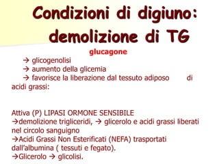 glucagone
 glicogenolisi
 aumento della glicemia
 favorisce la liberazione dal tessuto adiposo di
acidi grassi:
Attiva (P) LIPASI ORMONE SENSIBILE
demolizione trigliceridi,  glicerolo e acidi grassi liberati
nel circolo sanguigno
Acidi Grassi Non Esterificati (NEFA) trasportati
dall’albumina ( tessuti e fegato).
Glicerolo  glicolisi.
Condizioni di digiuno:
demolizione di TG
 