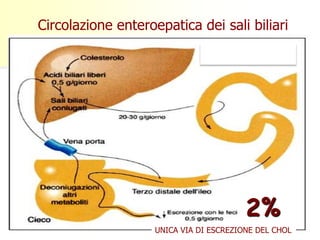 Circolazione enteroepatica dei sali biliari
UNICA VIA DI ESCREZIONE DEL CHOL
2%
 