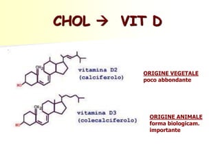 ORIGINE ANIMALE
forma biologicam.
importante
ORIGINE VEGETALE
poco abbondante
CHOL  VIT D
 