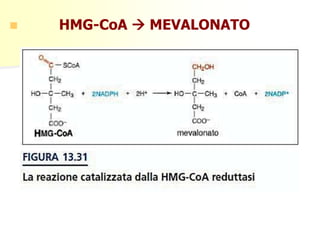  HMG-CoA  MEVALONATO
 