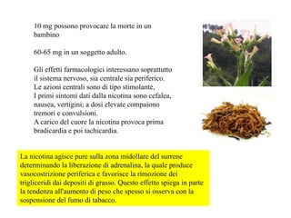 10 mg possono provocare la morte in un
bambino
60-65 mg in un soggetto adulto.
Gli effetti farmacologici interessano soprattutto
il sistema nervoso, sia centrale sia periferico.
Le azioni centrali sono di tipo stimolante,
I primi sintomi dati dalla nicotina sono cefalea,
nausea, vertigini; a dosi elevate compaiono
tremori e convulsioni.
A carico del cuore la nicotina provoca prima
bradicardia e poi tachicardia.
La nicotina agisce pure sulla zona midollare del surrene
determinando la liberazione di adrenalina, la quale produce
vasocostrizione periferica e favorisce la rimozione dei
trigliceridi dai depositi di grasso. Questo effetto spiega in parte
la tendenza all'aumento di peso che spesso si osserva con la
sospensione del fumo di tabacco.
 