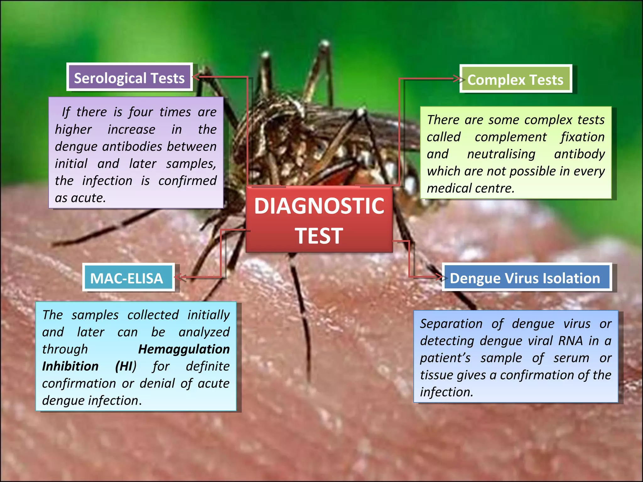 Serological Tests
      Serological Tests                                 Complex Tests
                                                         Complex Tests
    If there is four times are
     If there is four times are                  There are some complex tests
                                                  There are some complex tests
  higher increase in the
   higher increase in the                        called complement fixation
                                                  called complement fixation
  dengue antibodies between
   dengue antibodies between                     and neutralising antibody
                                                  and neutralising antibody
  initial and later samples,
   initial and later samples,                    which are not possible in every
                                                  which are not possible in every
  the infection is confirmed
   the infection is confirmed                    medical centre.
                                                  medical centre.
  as acute.
   as acute.
                                   DIAGNOSTIC
                                      TEST
        MAC-ELISA
        MAC-ELISA                                    Dengue Virus Isolation
                                                      Dengue Virus Isolation

The samples collected initially
 The samples collected initially
                                                Separation of dengue virus or
                                                 Separation of dengue virus or
and later can be analyzed
 and later can be analyzed
                                                detecting dengue viral RNA in aa
                                                 detecting dengue viral RNA in
through
 through        Hemaggulation
                  Hemaggulation
                                                patient’s sample of serum or
                                                 patient’s sample of serum or
Inhibition (HI) for definite
 Inhibition (HI) for definite
                                                tissue gives aaconfirmation of the
                                                 tissue gives confirmation of the
confirmation or denial of acute
 confirmation or denial of acute
                                                infection.
                                                 infection.
dengue infection.
 dengue infection.
 