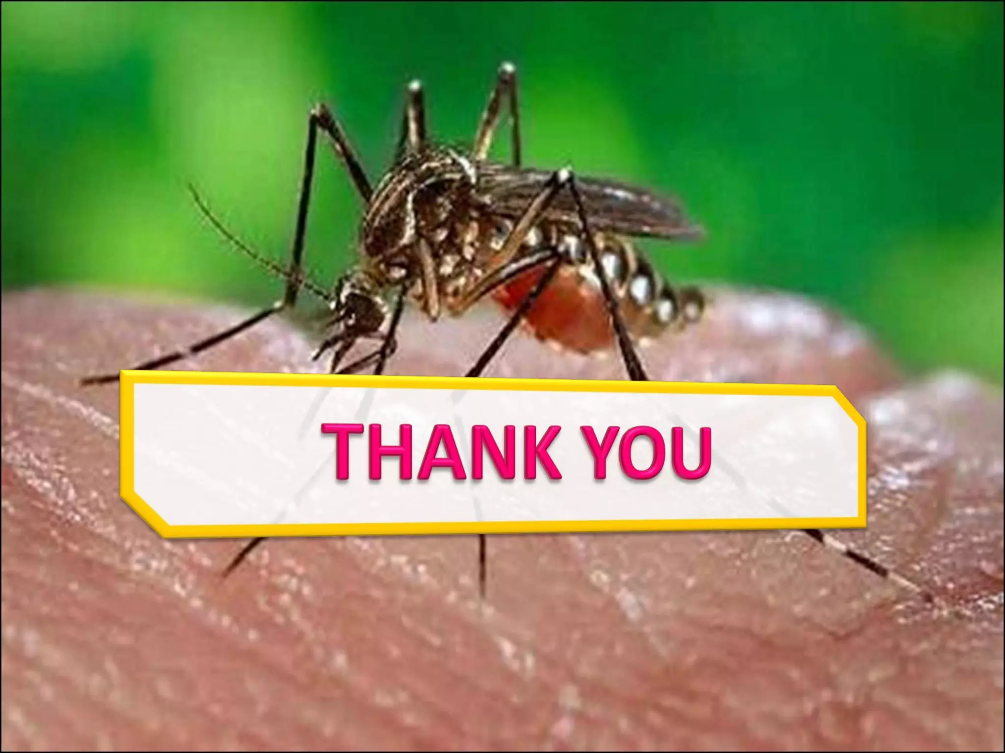 8   comparative diagnosis