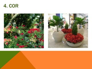 4. COR