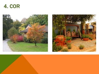 4. COR