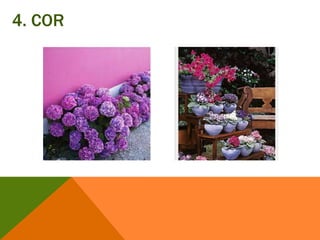 4. COR
