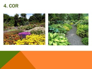 4. COR