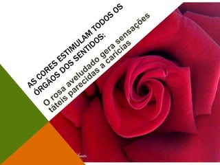 As cores estimulam todos os órgãos dos sentidos:O rosa aveludado gera sensações táteis parecidas a carícias